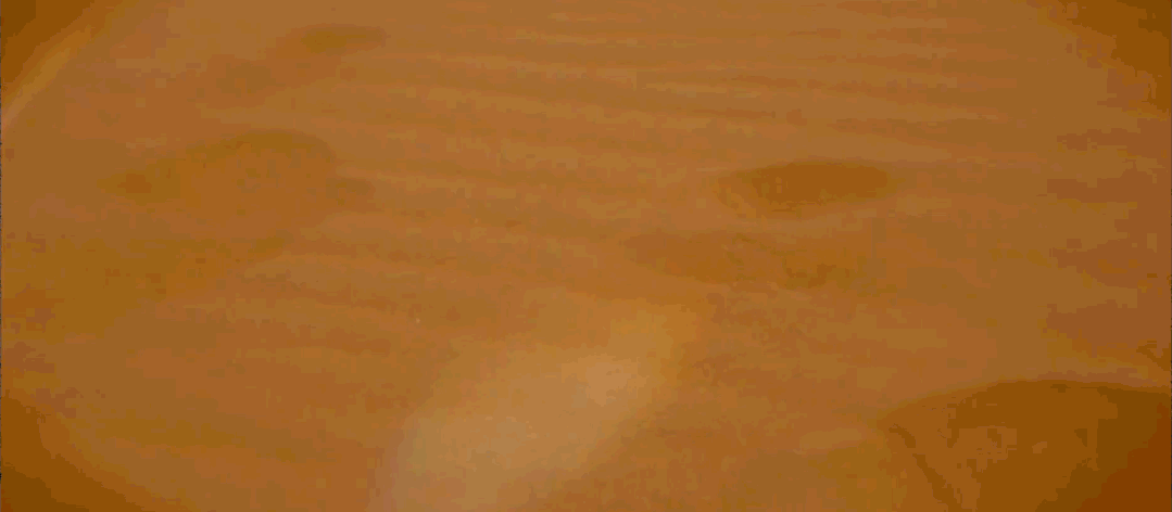 全新一代奇骏：撩拨欲望的“野性”最迷人