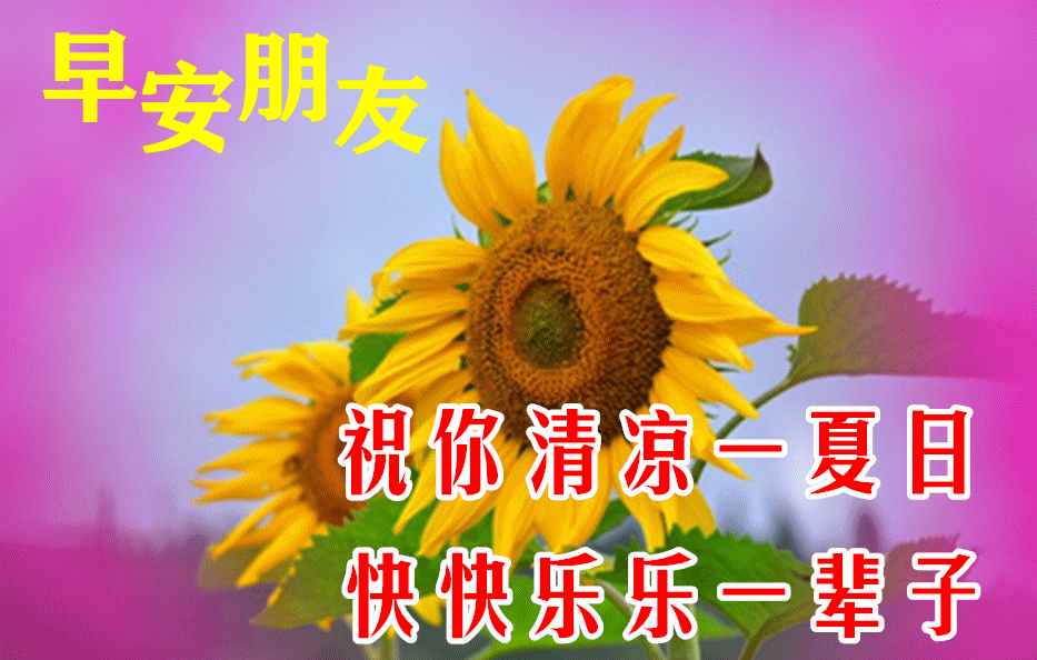 漂亮的周末愉快早上好表情包图片,天气太热注意防暑防晒祝福语图片!
