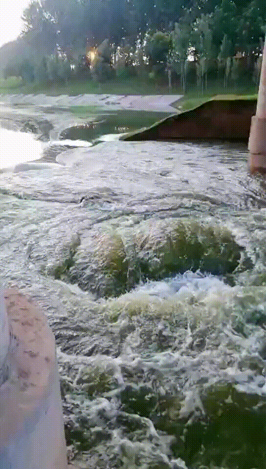 暴雨,大暴雨,太康又一轮大范围强降雨!|洪峰过后,太康被接连刷屏. .