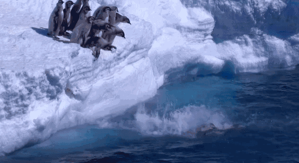 600_327gif 动态图 动图