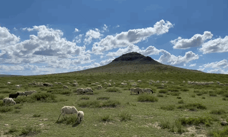 总是对草原抱有符号化的扁平想象:无外乎蓝天白云,肥羊骏马,冒着牛粪