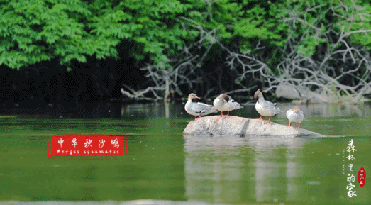 523_289gif 动态图 动图