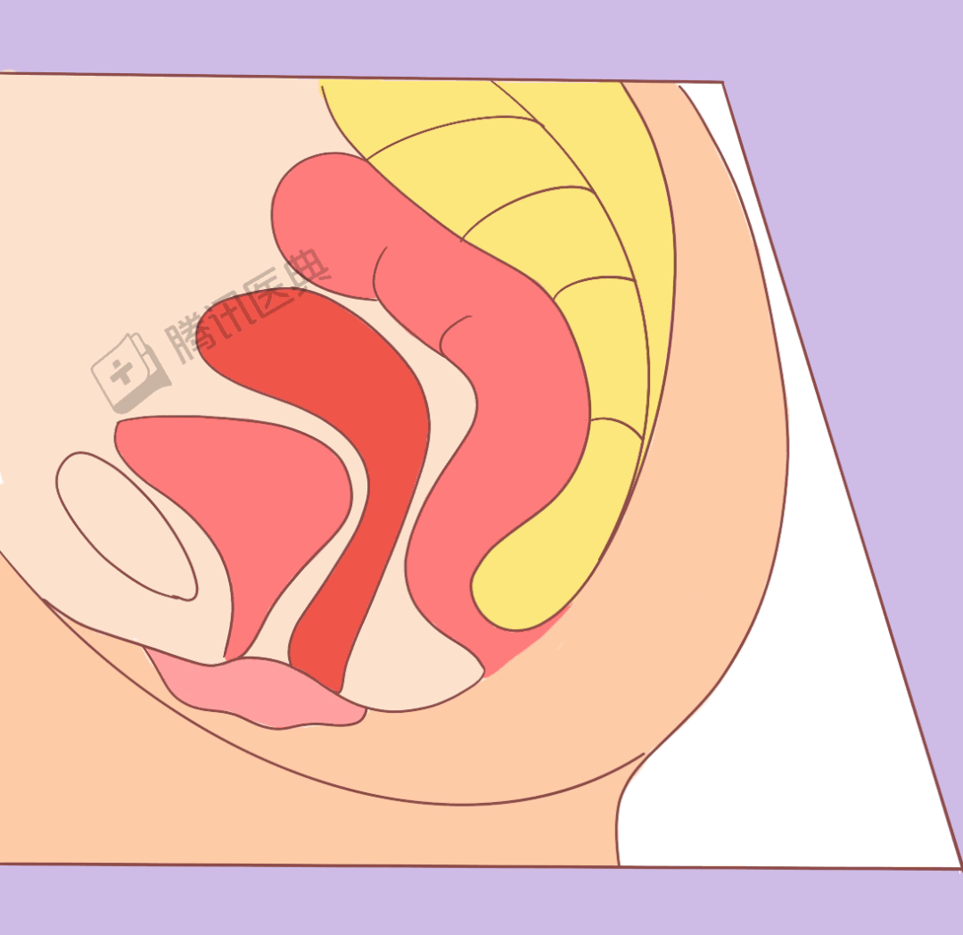 1080_1048gif 动态图 动图