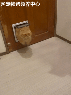 230_306gif 动态图 动图