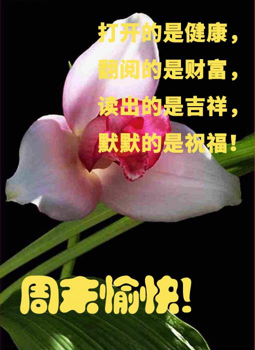 周末早安问候语周末快乐祝福语大全