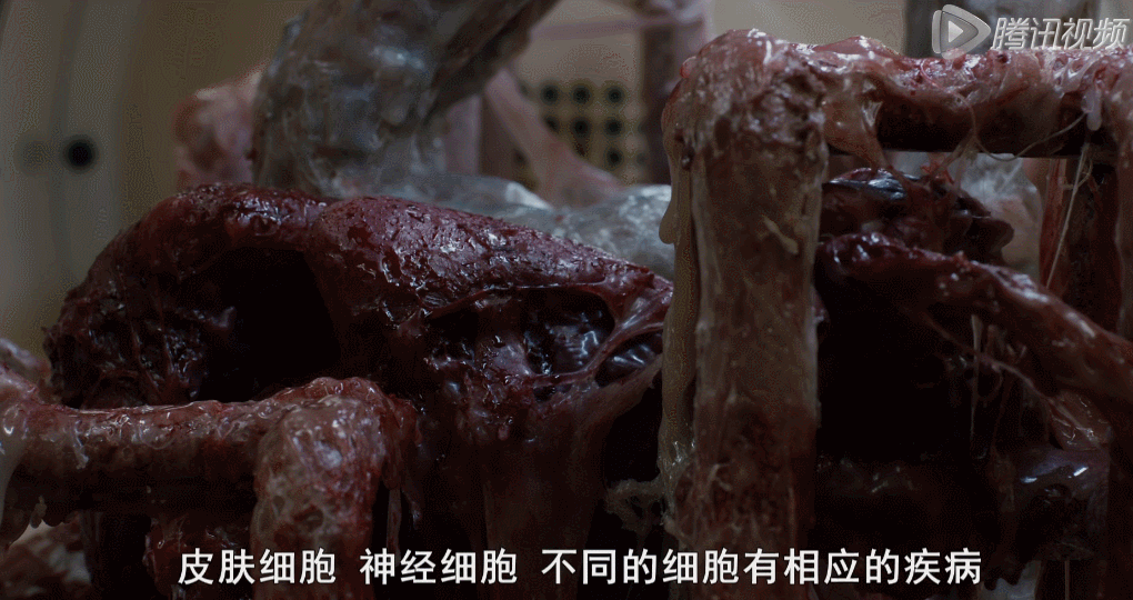 别替吴亦凡求情
