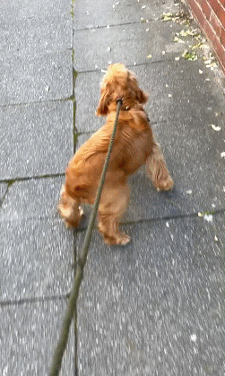 251_419竖版 竖屏gif 动态图 动图