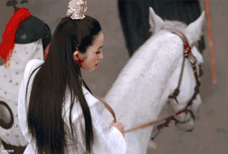 回忆杀张敏重现倚天屠龙记之魔教教主赵敏骑马回眸片段