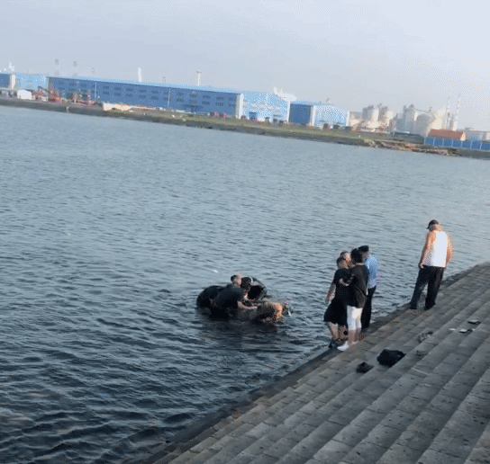 女子坠海翻扣海面,好多龙口人冲了上去