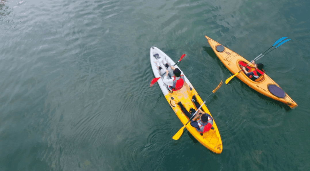 浪速是一家专业水上俱乐部,不仅有皮划艇,桨板,赛艇,还有帆船及龙舟.
