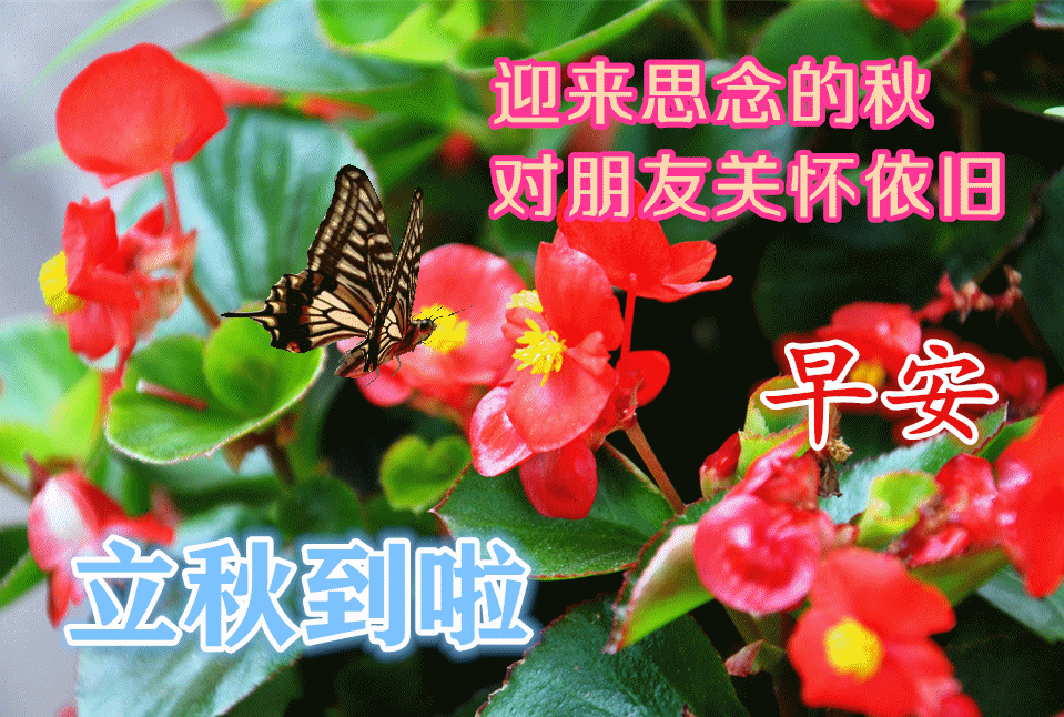 2021年8月7日最新立秋表情图片大全,立秋祝福动态图片问候语_腾讯新闻