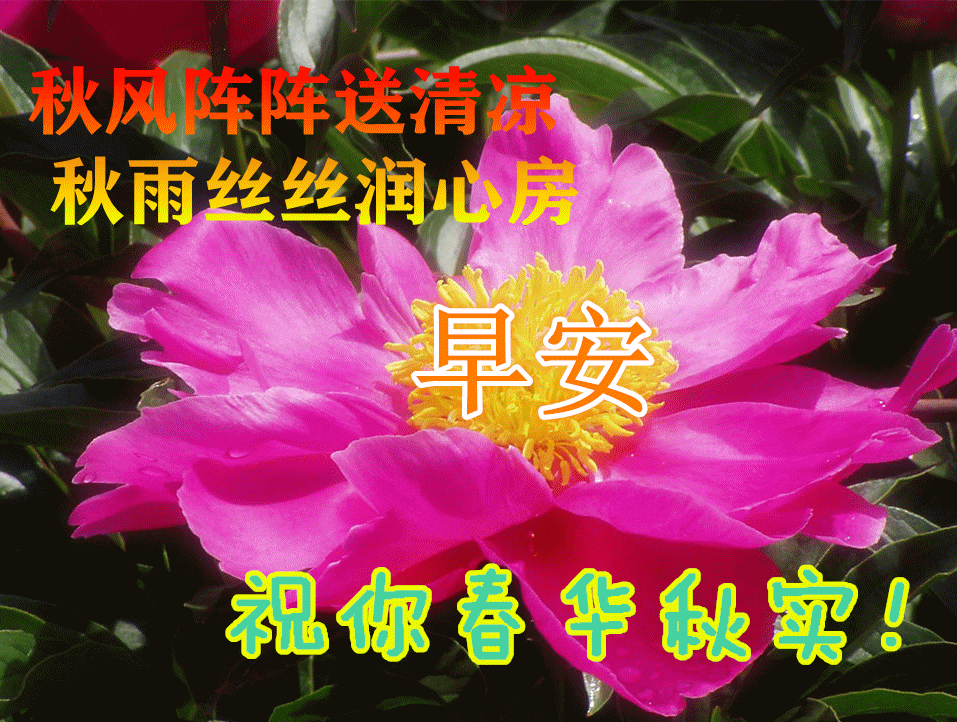 2021年8月7日最新立秋表情图片大全,立秋祝福动态图片问候语 立秋祝福