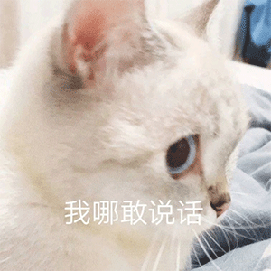  重庆QGhappy消级比赛被罚100万奖金？主教练暂停教练资格，是何原因？