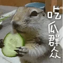  重庆QGhappy消级比赛被罚100万奖金？主教练暂停教练资格，是何原因？
