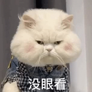  重庆QGhappy消级比赛被罚100万奖金？主教练暂停教练资格，是何原因？