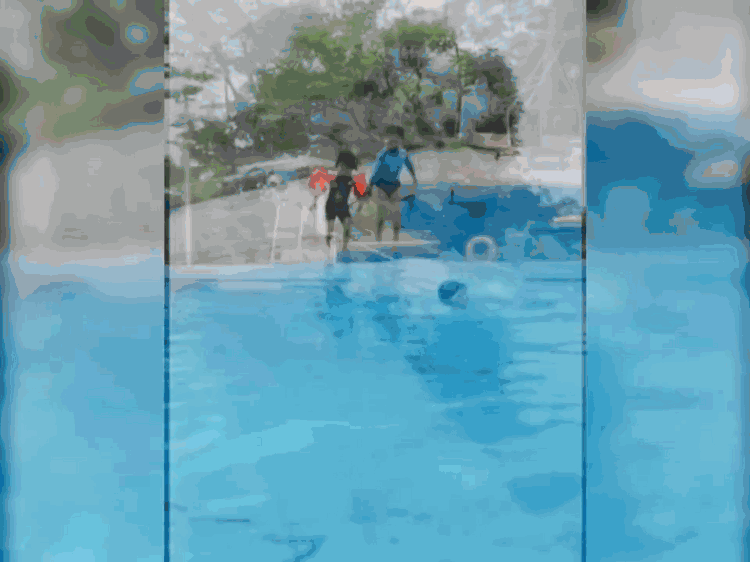 郭晶晶晒子女在豪宅泳池玩水画面，仨娃模仿妈妈跳水身手非常灵活