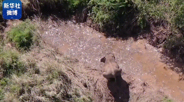620_344gif 动态图 动图