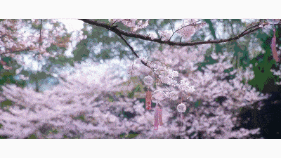 400_225gif 动态图 动图