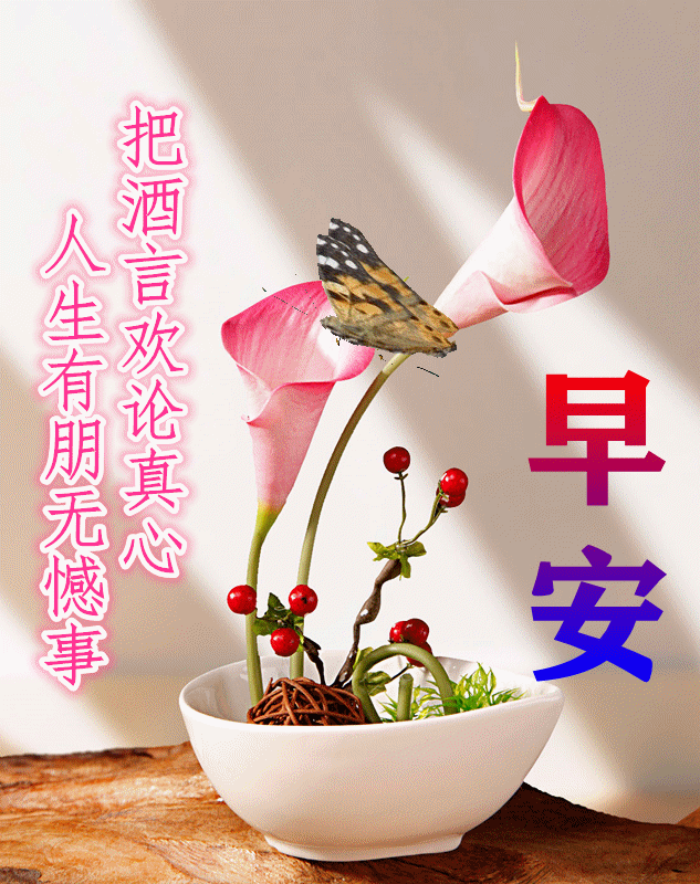 11月16日最漂亮早上好动态表情图片大全,早上好动图美图大全