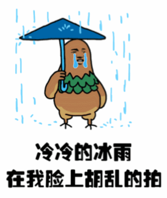 这样的天气真的像极了爱情冒着大雨去结婚太激动了