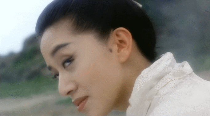 1993年,集结了梁朝伟,梅艳芳,关之琳等当红明星的古装武侠片《新仙鹤