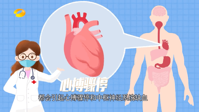 671_377gif 动态图 动图