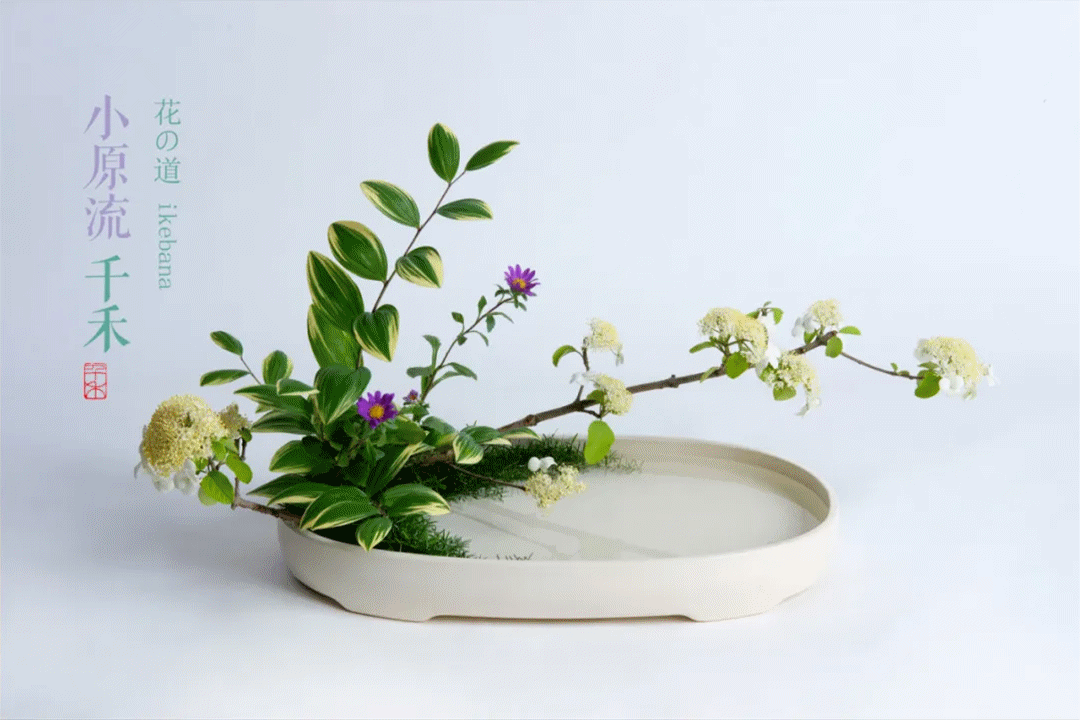 おまけ付】 小原流 花器 花意匠新型花器 未使用品 cerkafor.com