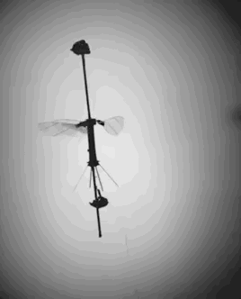 为什么我们不去模仿鸟儿制造会扇动翅膀的飞机呢