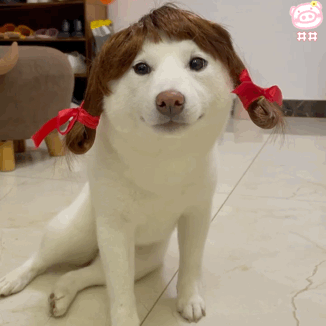 326_326gif 动态图 动图