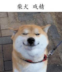 240_280gif 动态图 动图