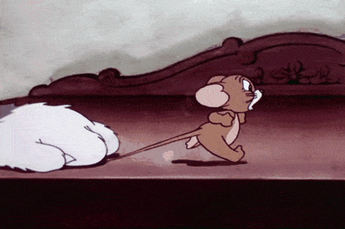 病死率高,传染性强?家有老鼠会感染吗?