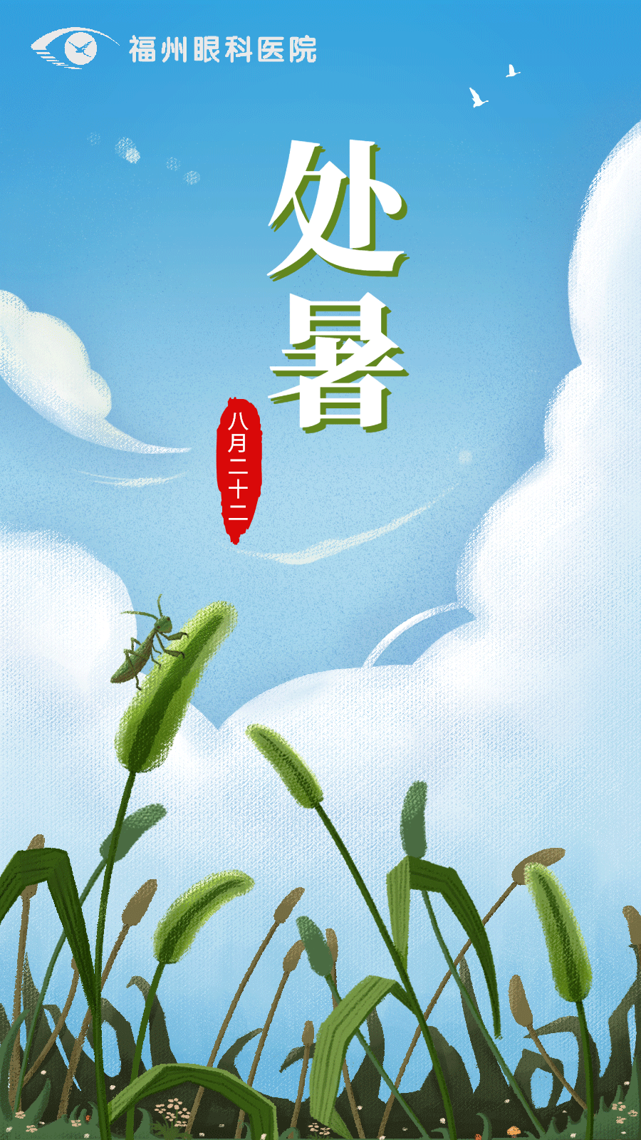 处暑|酷热未消,夏末护眼注意这三点