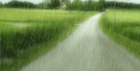 477_244gif 动态图 动图