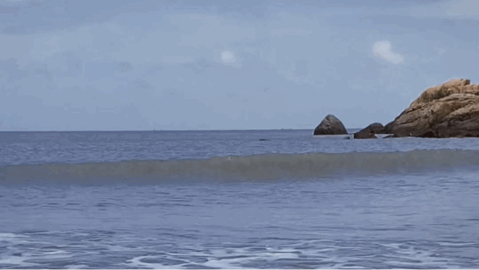 追影征途所在星辰大海