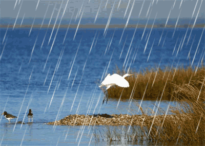一场凉爽一场秋雨淅淅沥沥