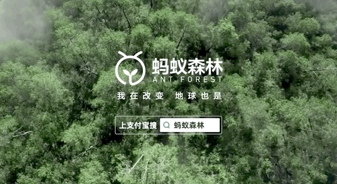 蚂蚁森林五周年选择给大家种草绿色生活方式