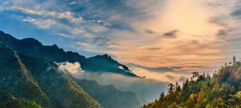 768_344gif 动态图 动图