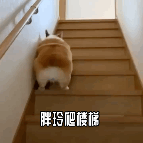 607_607gif 动态图 动图