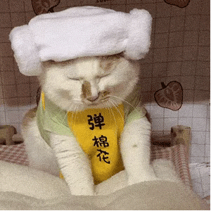 微信搜索:呆图青年表情包  gif动图  图片制作  精选头像