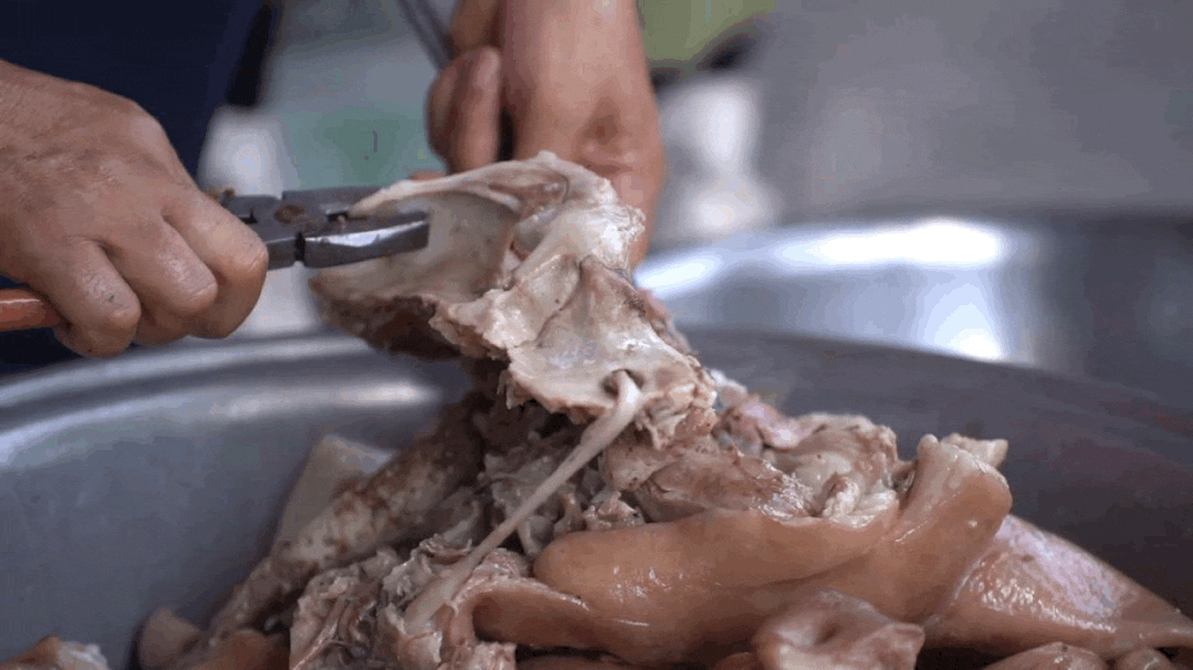 (用钳子夹住骨头)(用平铲剔下猪头肉)钳子和平铲联手辅助制作美食的