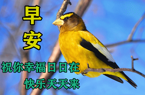 早上好,愿你工作舒心,生活顺心,一切开心!早安