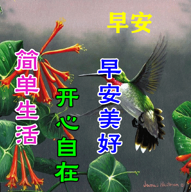今日最佳早安句子早安图片(今天最新早安图及问候语)