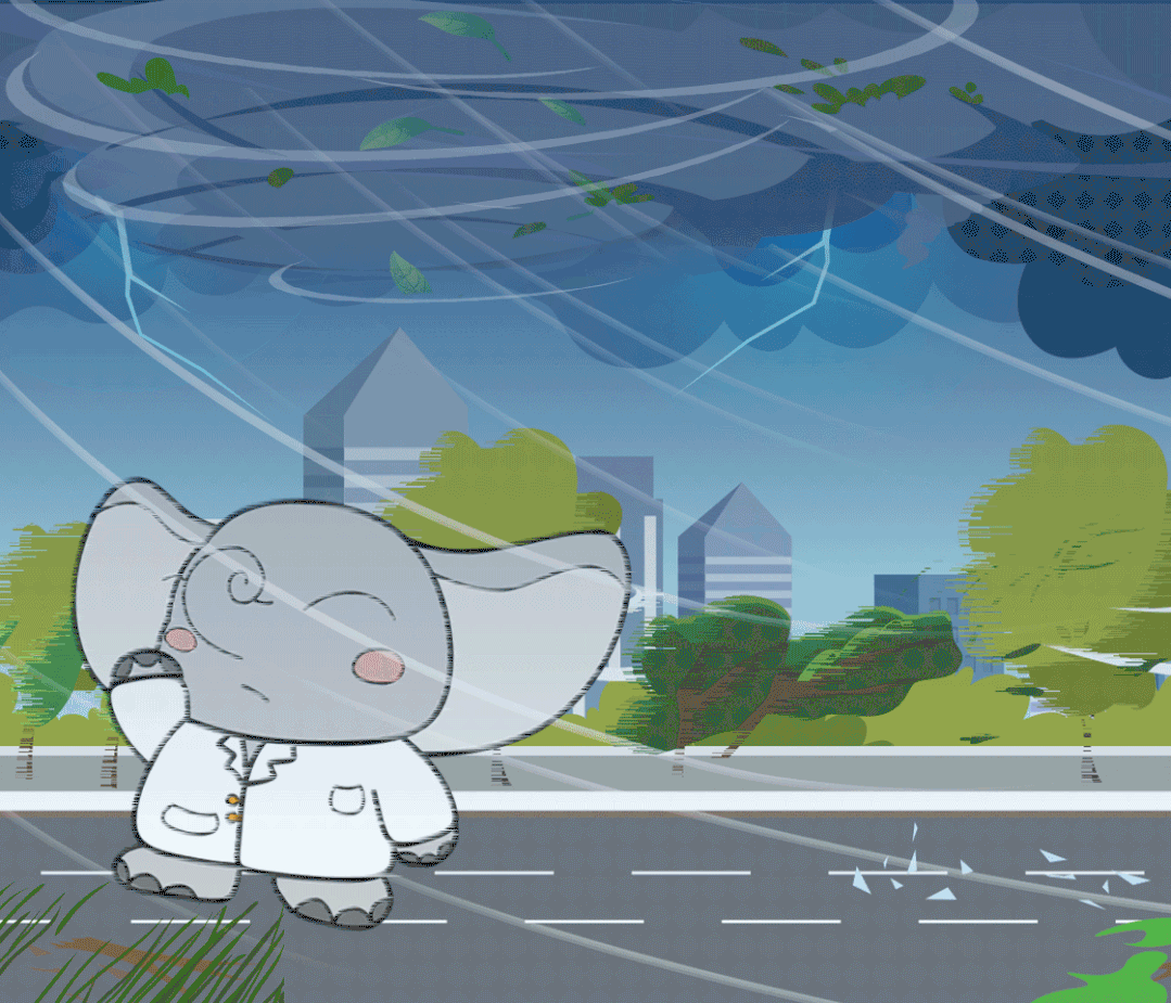 台风预警刚刚升级为橙色