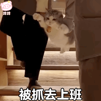 适合国庆假期结束发的朋友圈文案及表情包_腾讯新闻