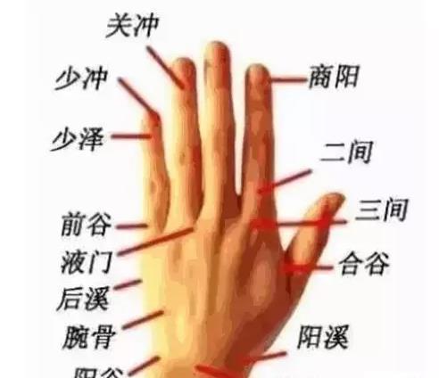 动上面一个食指是什么成语_这是什么成语看图(3)