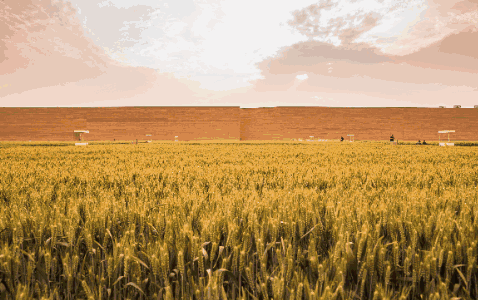 建业集团斩获十余项行业殊荣