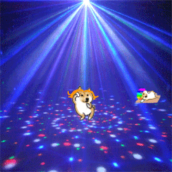 小黄狗柴犬蹦迪表情包动图合集