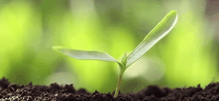 750_348gif 动态图 动图