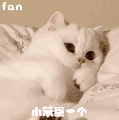 表情包伸手不打笑脸狗