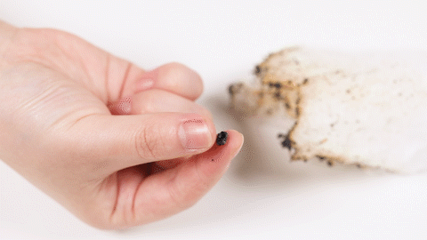 蚕丝被真的值得买吗